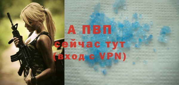PSILOCYBIN Елабуга